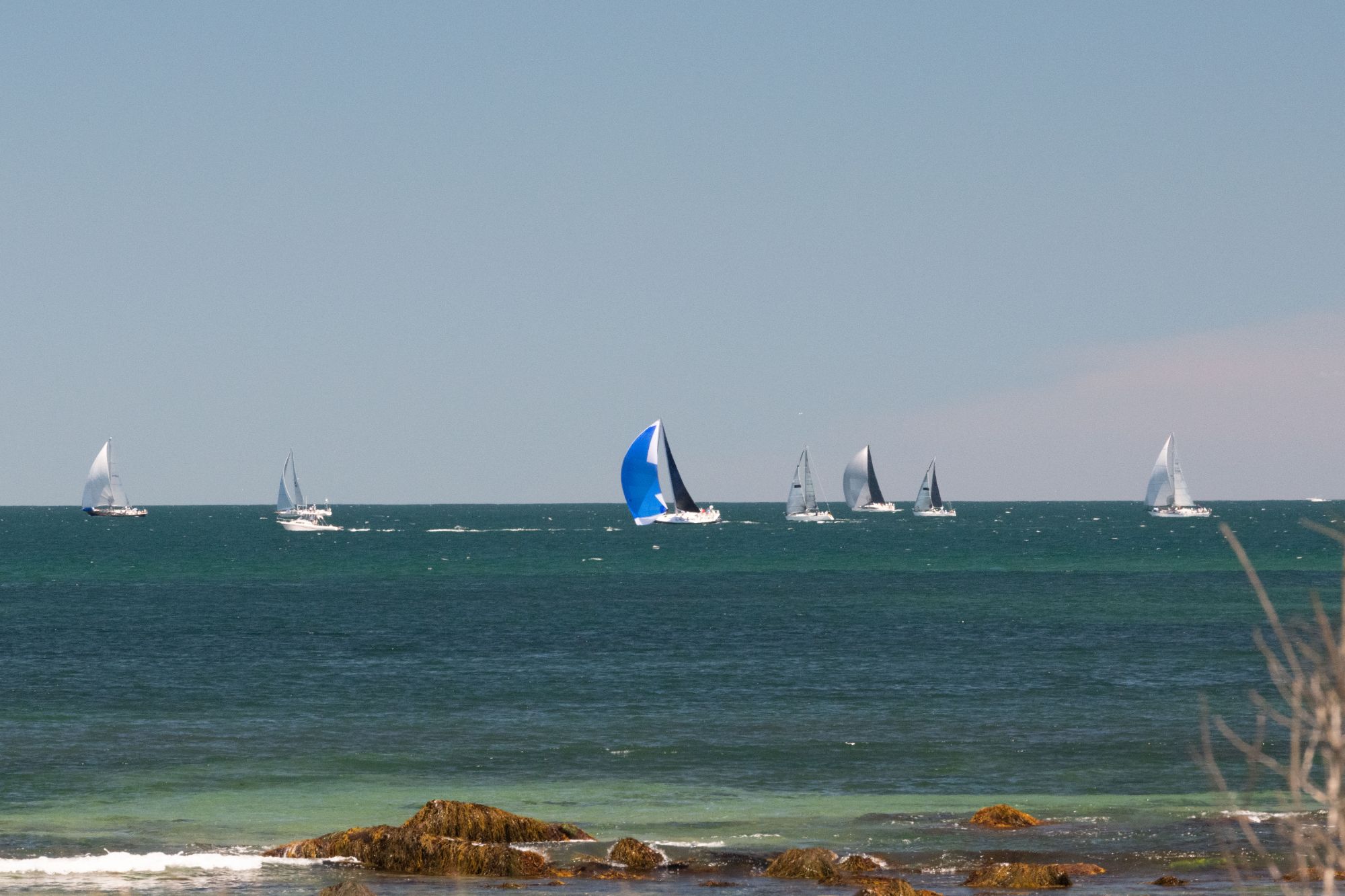 DSC 3717 53